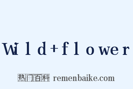 Wild+flower是什么意思的图片